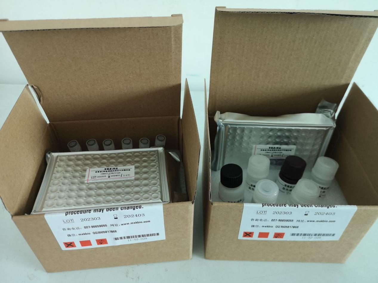 黄曲霉毒素B1检测试剂盒